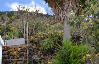 El Quinto Pino 3 habitaciones privadas con cocina y baño compartidos - Foto 8