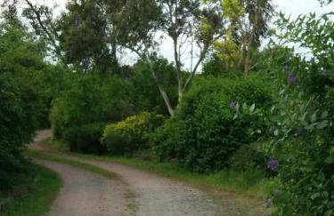 Watercress Barns - Photo 45