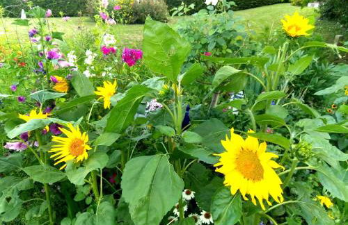 SEENAH - Ihre Wohnung am Bodensee / Untersee - Foto 19