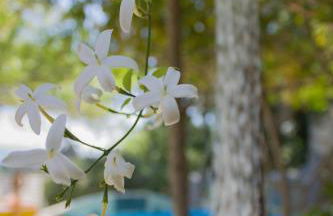 Malaxiana Houses - Photo 8