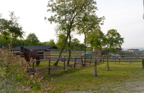 Pietra Cavalla - Ranch & Resort - Foto 58