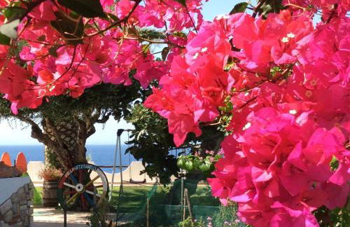 Residenza Stefanelli - Foto 30