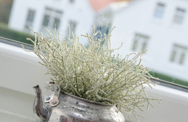 Ferienwohnungen Blischke - Foto 70