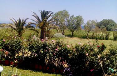 Studios ΣΤΟΥΣ ΠΥΡΓΟΥΣ ΘΕΡΜΗΣ - Foto 8