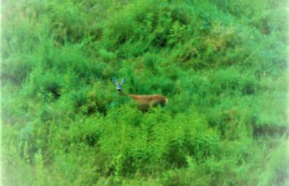 Agriturismo Malvista - Foto 37