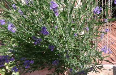 Casa de Aldea El Torrexon - Foto 45