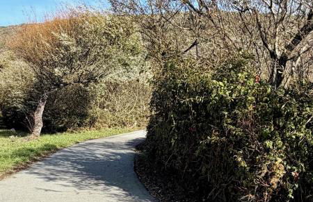 Oceanfront Top Floor Premium One Bedroom with Panoramic View of Monterey Bay, Very Private! - Foto 39