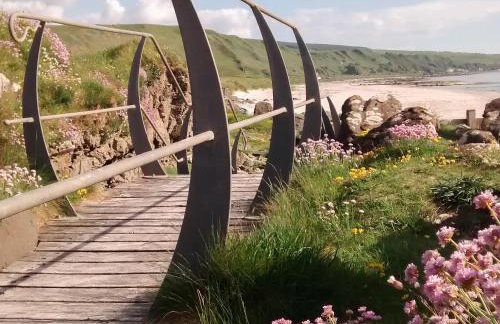 Charlies Cottage - Foto 12