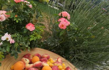 Ca del bosso - Foto 24