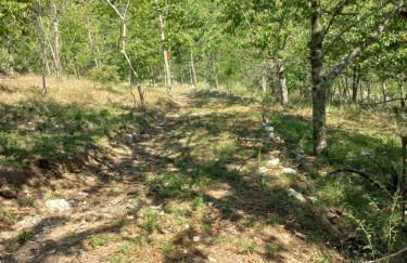 Agriturismo Trosciole - Foto 21