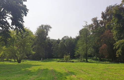 Les Sources - Foto 12