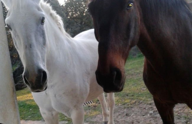 Casa Rural la Vallejera - Photo 32