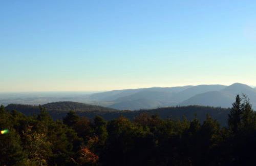 Pension Sonnenberg Comfortable holiday residence - Foto 47