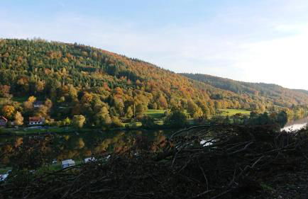 FeWo am Neckarsteig mit Anbindung an Heidelberg - Photo 30