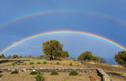 Pavlaina Complex of Traditional Residences in Nisyros. Enjoy the garden and the Sea View - Foto 47