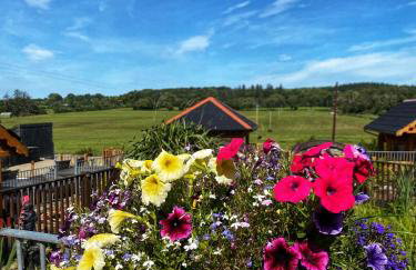 Dulrush Self-Catering Lodges - Foto 75