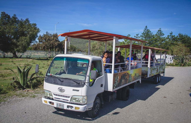 Escursione a Mundo Fútbol e Tuzoofari - Foto 8