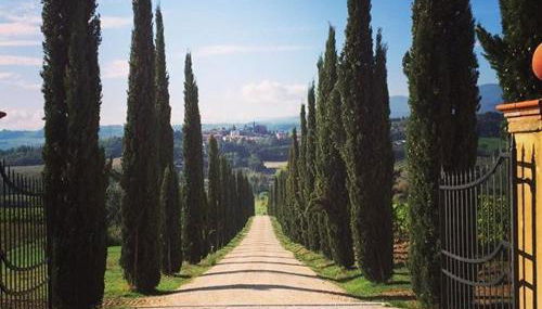 Fattoria Casagrande - Foto 3