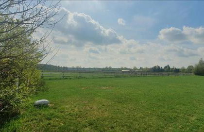 Ferienwohnung Luft und Erde - Foto 20