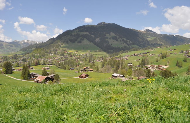 Alpenchalet Weidhaus - Photo 1