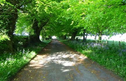 The Weaver's Cottage - Foto 15