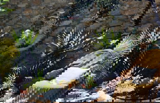 Beautiful Small House in Algarve, Portugal - Foto 7