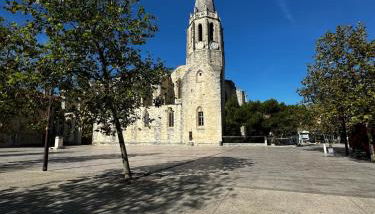 Jungle Cosy - Gare - Bus - Parking gratuit - WIFI - Foto 3