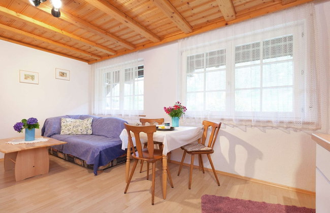 Hideaway Near Black Forest - Photo 11