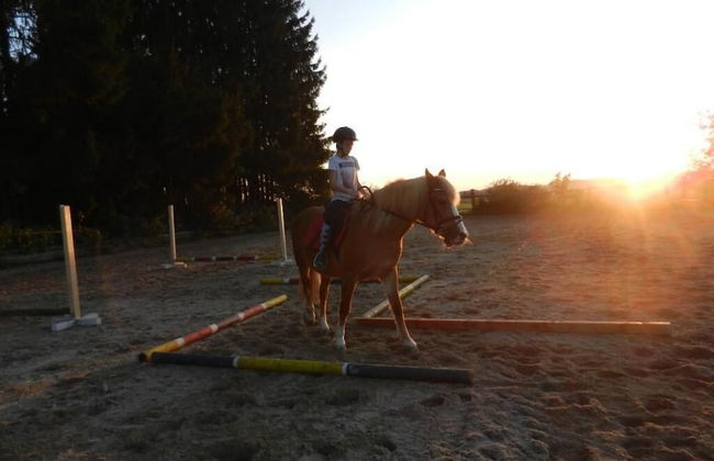 Ferienhof Löw - Photo 19