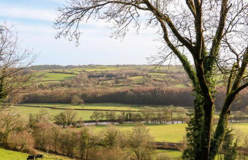 Little Silver Fox - Foto 19