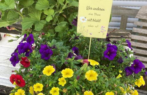 Ferienwohnungen Hubertus - Foto 6