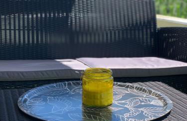 TOULOUSE premium appartement Parking Tramway Wifi Charmant - Foto 5