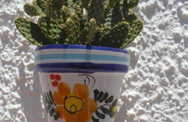 Las Palmeras del Cantal - Foto 30