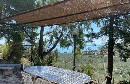 Colori del Sud - Residence - Foto 38