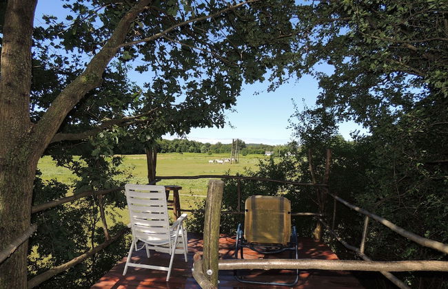 Kerca Bio Farm - Photo 72