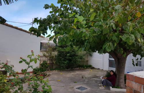 Exclusive Apartment - Playa de Marenys de Rafalcaid - Photo 37