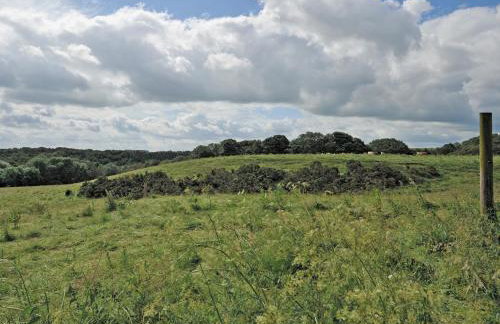 Lapwing Cottage - E5028 - Foto 8