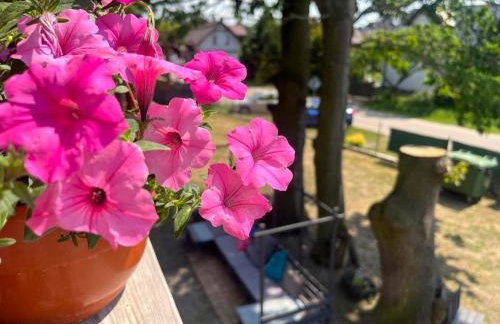 Przystań plaża - Foto 24