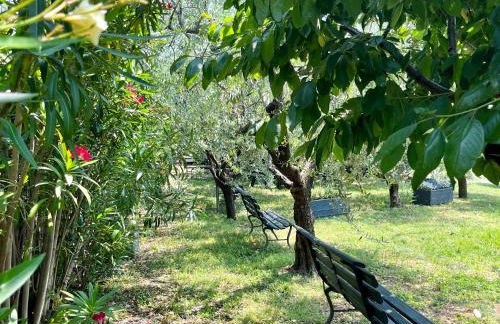 Corte Lavarini The Magic At Sight - Foto 47