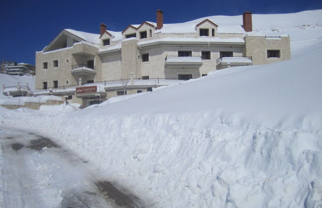 Cedars Palace - Foto 20