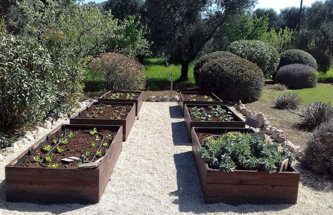 Trulli Stella in Ceglie Messapica - Foto 37