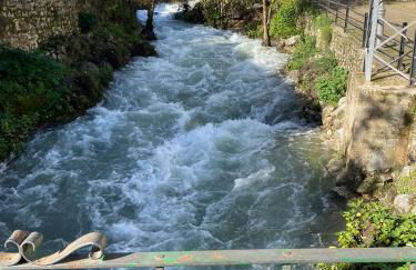 Apartamento ANY - Photo 27