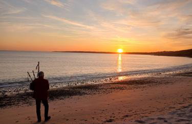 Les hortensias de papy - Foto 21