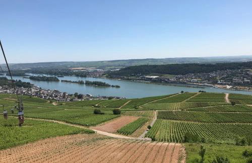 Rüdesheimer Wohlfühloase - Foto 23