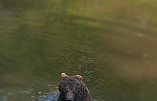 Traumblick Bayerischer Wald, Pool & Sauna, Getränke, Klimaanlage - Foto 43