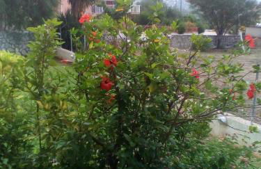 Apartments Thekla - Foto 42