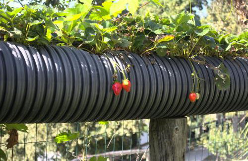 Quinta dos Lagos - Foto 41