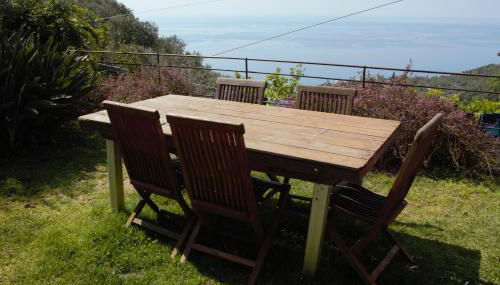 Azalea - Foto 5, Garden, Garden view