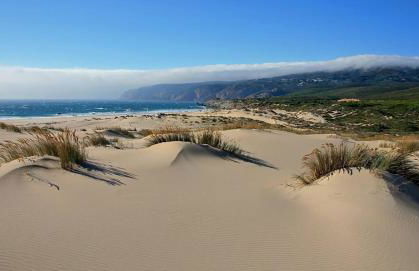 Villa Maxima - Foto 50