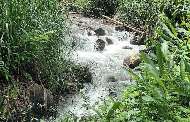 Cabañas arabi - Foto 16